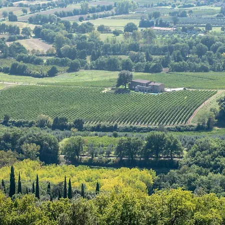 Podere La Doccia *